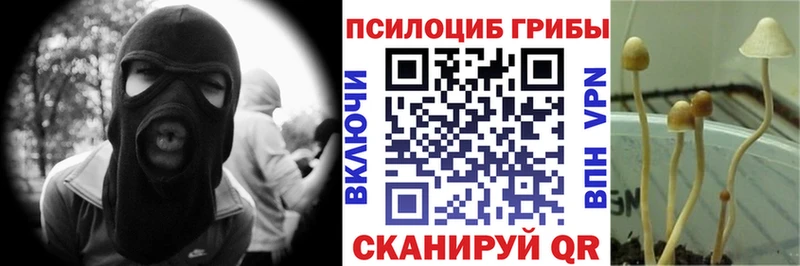 Галлюциногенные грибы GOLDEN TEACHER  Вилюйск 